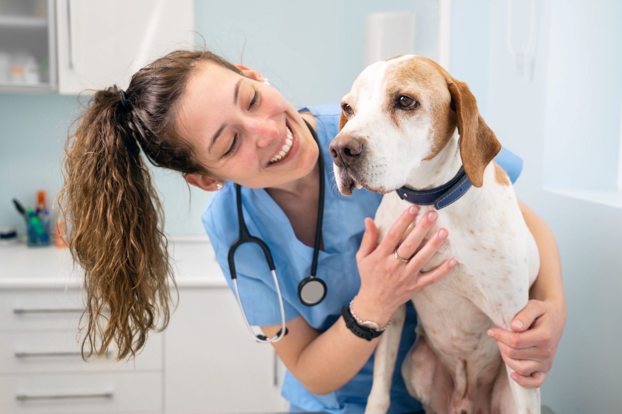 why-you-should-schedule-your-pet-s-annual-exam-for-2023-the-whole-pet