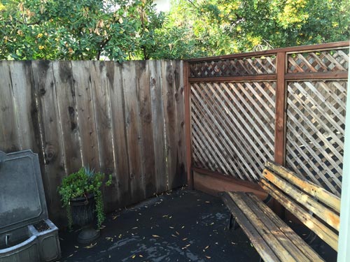 back area at The Whole Pet Vet Hospital and Wellness Center