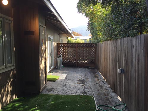 back area of The Whole Pet Vet Hospital and Wellness Center