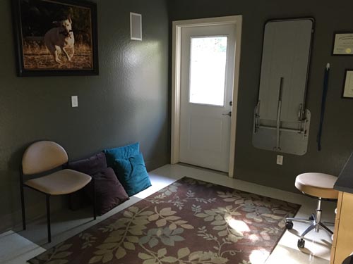 exam room at The Whole Pet Vet Hospital and Wellness Center