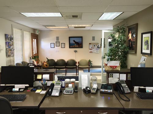 front desk at The Whole Pet Vet Hospital and Wellness Center