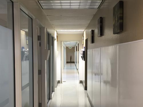 hallway at The Whole Pet Vet Hospital and Wellness Center