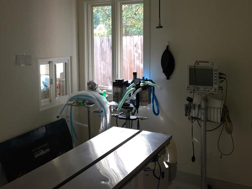 surgery room at The Whole Pet Vet Hospital and Wellness Center