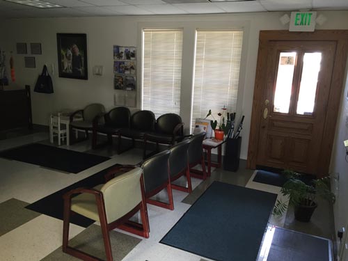 waiting area at The Whole Pet Vet Hospital and Wellness Center